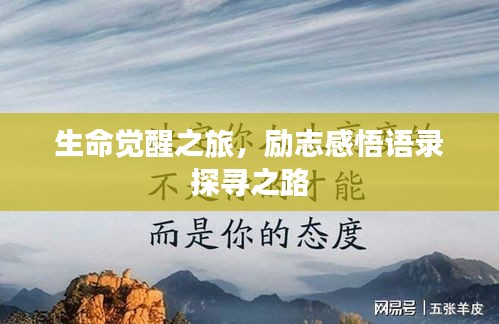 生命觉醒之旅，励志感悟语录探寻之路