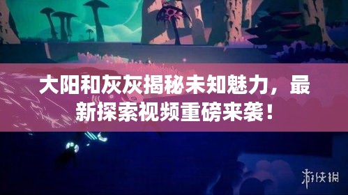 大阳和灰灰揭秘未知魅力，最新探索视频重磅来袭！