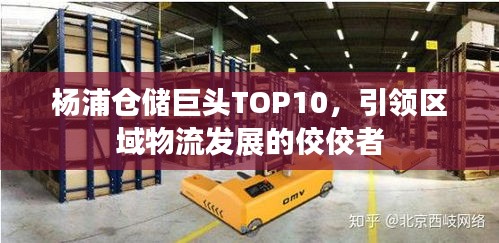 杨浦仓储巨头TOP10，引领区域物流发展的佼佼者