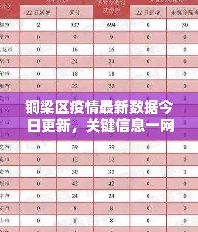铜梁区疫情最新数据今日更新，关键信息一网打尽