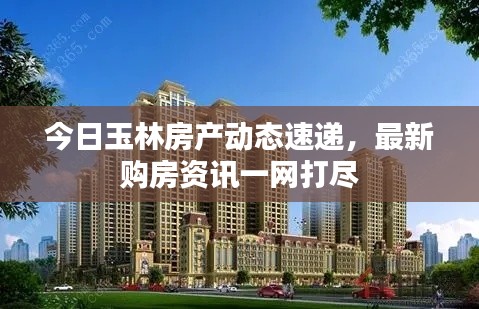 今日玉林房产动态速递，最新购房资讯一网打尽