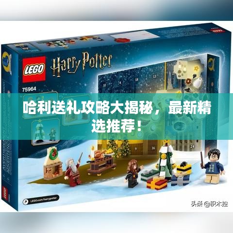 哈利送礼攻略大揭秘，最新精选推荐！