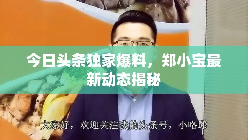 今日头条独家爆料，郑小宝最新动态揭秘
