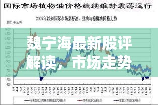 魏宁海最新股评解读，市场走势深度分析，未来展望揭秘
