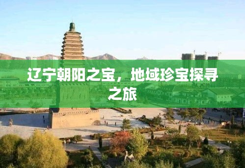 辽宁朝阳之宝，地域珍宝探寻之旅