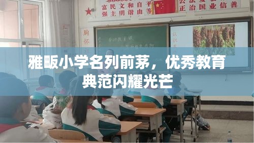 雅畈小学名列前茅，优秀教育典范闪耀光芒
