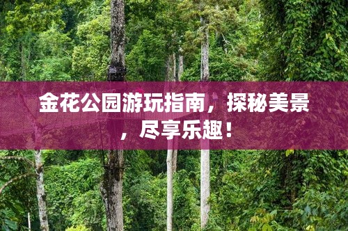 金花公园游玩指南，探秘美景，尽享乐趣！