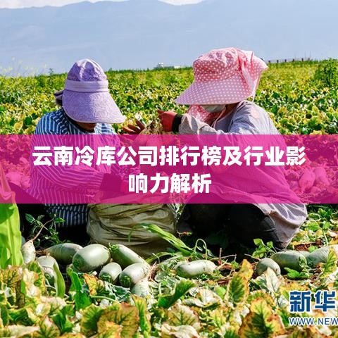 云南冷库公司排行榜及行业影响力解析