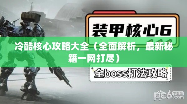 冷酷核心攻略大全（全面解析，最新秘籍一网打尽）
