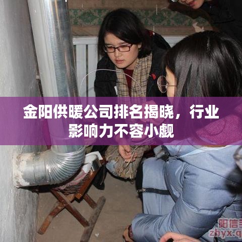金阳供暖公司排名揭晓，行业影响力不容小觑
