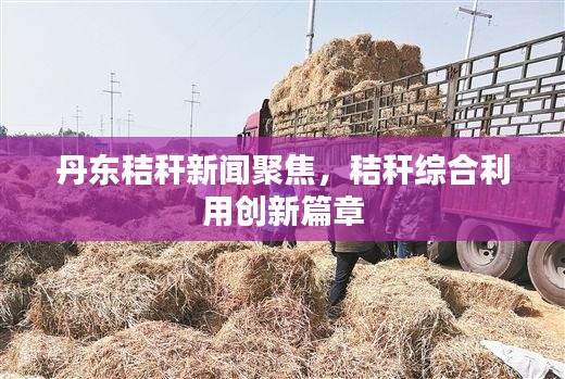 丹东秸秆新闻聚焦，秸秆综合利用创新篇章