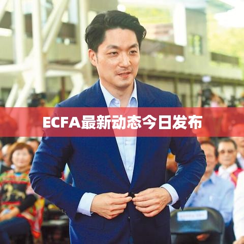 ECFA最新动态今日发布