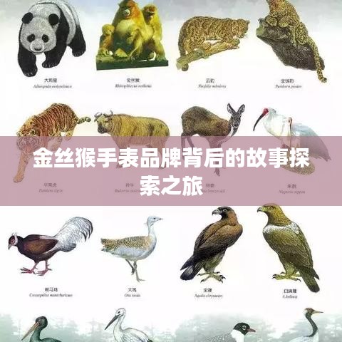 金丝猴手表品牌背后的故事探索之旅