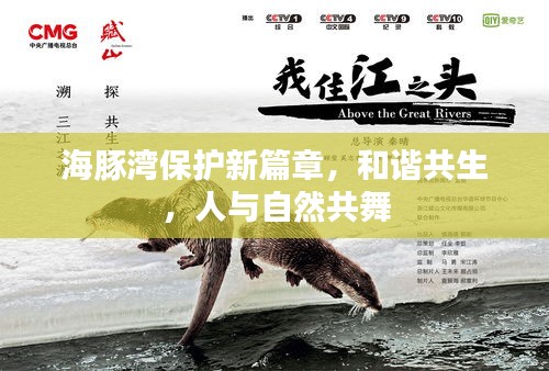 海豚湾保护新篇章，和谐共生，人与自然共舞