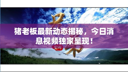 猪老板最新动态揭秘，今日消息视频独家呈现！