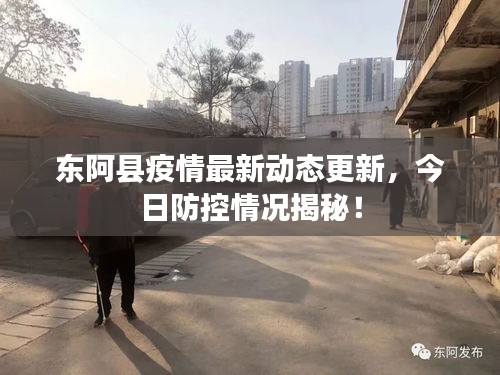 东阿县疫情最新动态更新，今日防控情况揭秘！