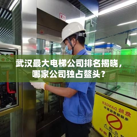 武汉最大电梯公司排名揭晓，哪家公司独占鳌头？