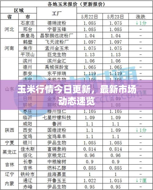 玉米行情今日更新，最新市场动态速览