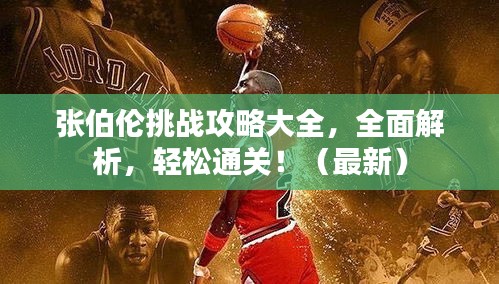 张伯伦挑战攻略大全，全面解析，轻松通关！（最新）
