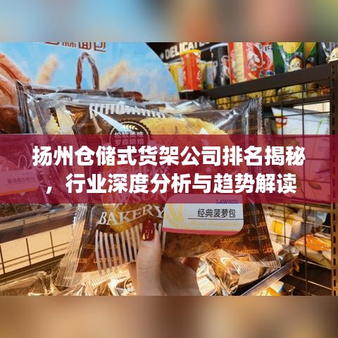 扬州仓储式货架公司排名揭秘，行业深度分析与趋势解读