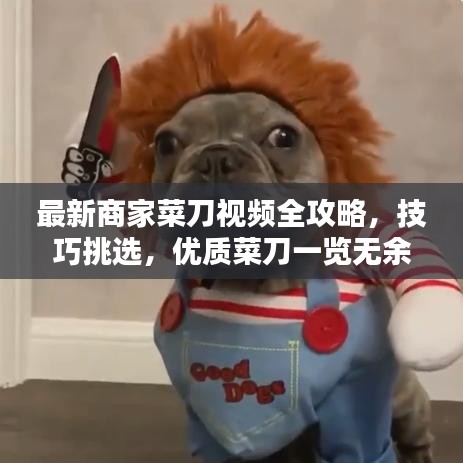 最新商家菜刀视频全攻略，技巧挑选，优质菜刀一览无余！