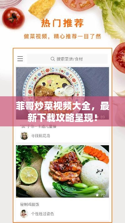 菲哥炒菜视频大全，最新下载攻略呈现！