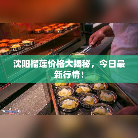 沈阳榴莲价格大揭秘，今日最新行情！