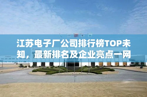 江苏电子厂公司排行榜TOP未知，最新排名及企业亮点一网打尽