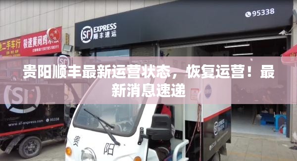 贵阳顺丰最新运营状态，恢复运营！最新消息速递