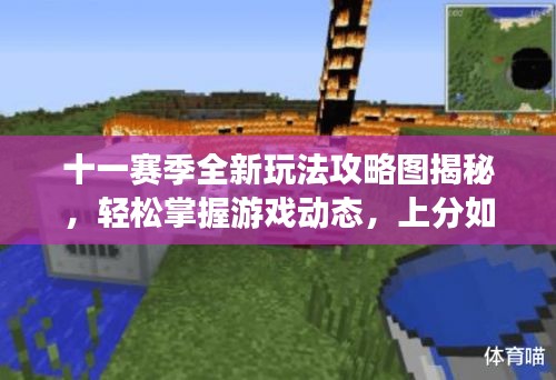 十一赛季全新玩法攻略图揭秘，轻松掌握游戏动态，上分如探囊取物！
