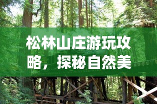 松林山庄游玩攻略，探秘自然美景，尽享度假乐趣！