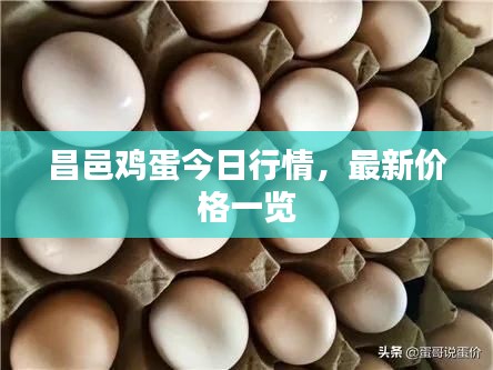 张皇失措 第2页