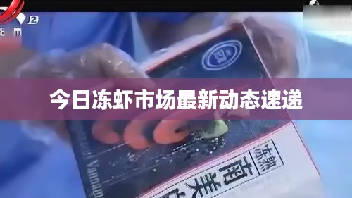 今日冻虾市场最新动态速递