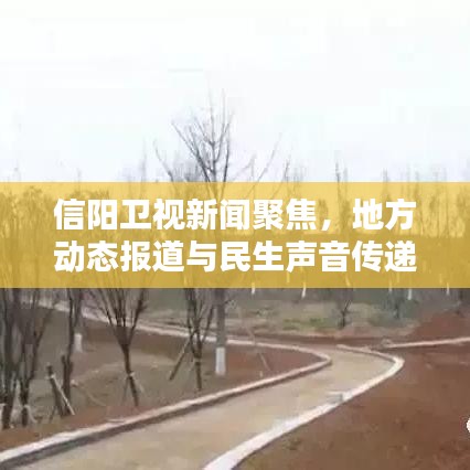 信阳卫视新闻聚焦，地方动态报道与民生声音传递