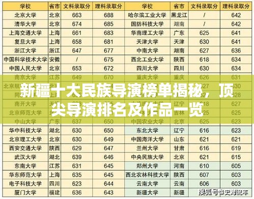 新疆十大民族导演榜单揭秘，顶尖导演排名及作品一览