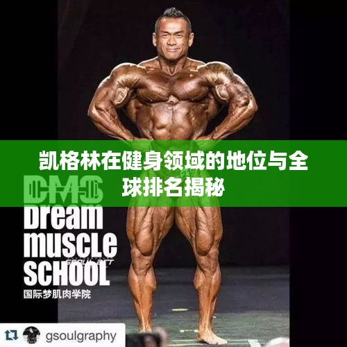 凯格林在健身领域的地位与全球排名揭秘