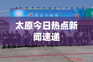 公司简介 第74页