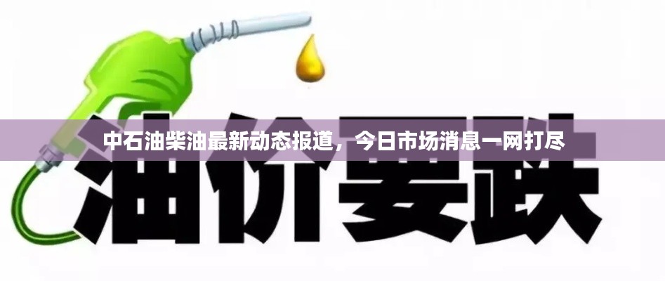 中石油柴油最新动态报道，今日市场消息一网打尽