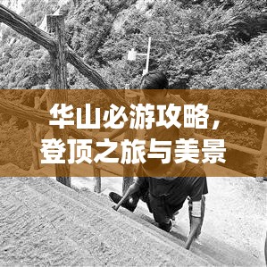 华山必游攻略，登顶之旅与美景尽收眼底