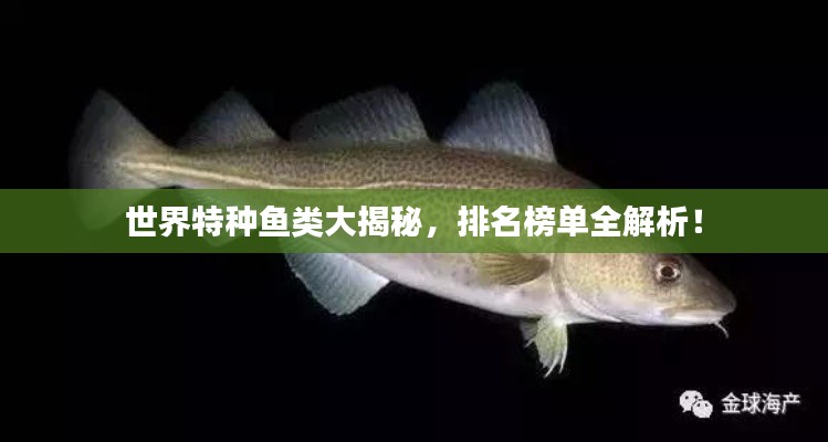 量入为出 第2页
