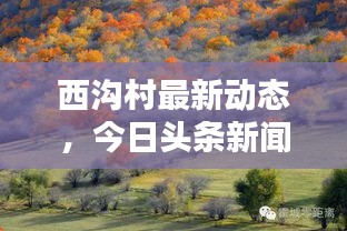 西沟村最新动态，今日头条新闻报道聚焦此地！