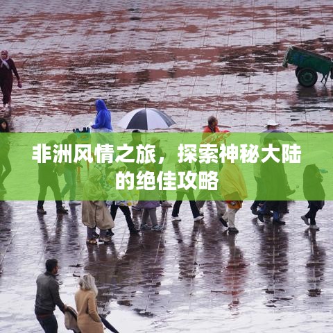 非洲风情之旅，探索神秘大陆的绝佳攻略