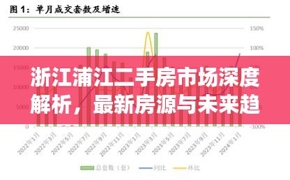 浙江浦江二手房市场深度解析，最新房源与未来趋势展望（2024）