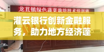 灌云银行创新金融服务，助力地方经济蓬勃发展，新闻头条报道