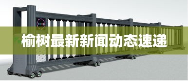 榆树最新新闻动态速递