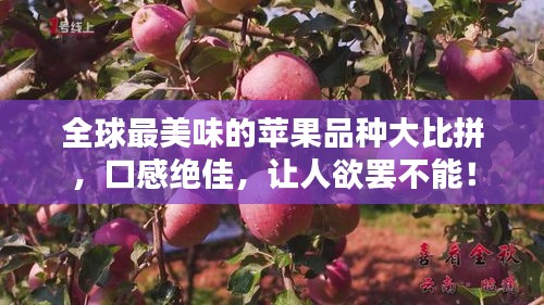 大事夸张 第2页