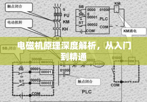 观往知来 第2页