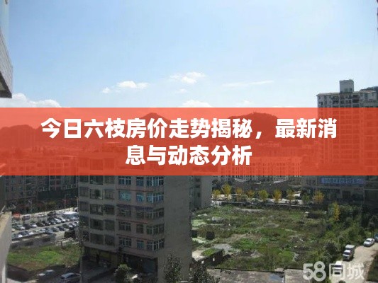 今日六枝房价走势揭秘，最新消息与动态分析
