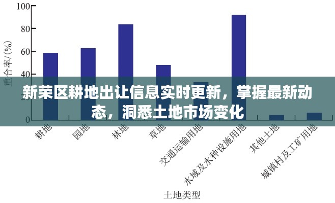 新荣区耕地出让信息实时更新，掌握最新动态，洞悉土地市场变化