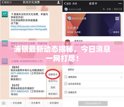 浦银最新动态揭秘，今日消息一网打尽！
